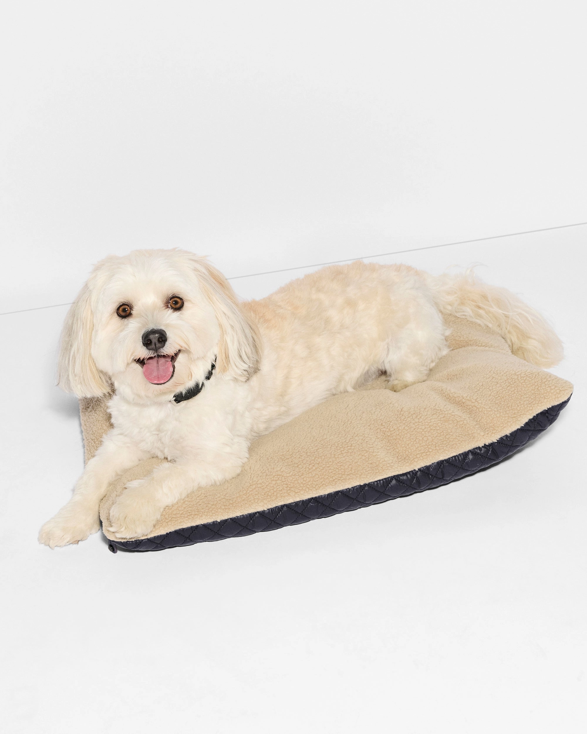 Black MZW Dog Bed