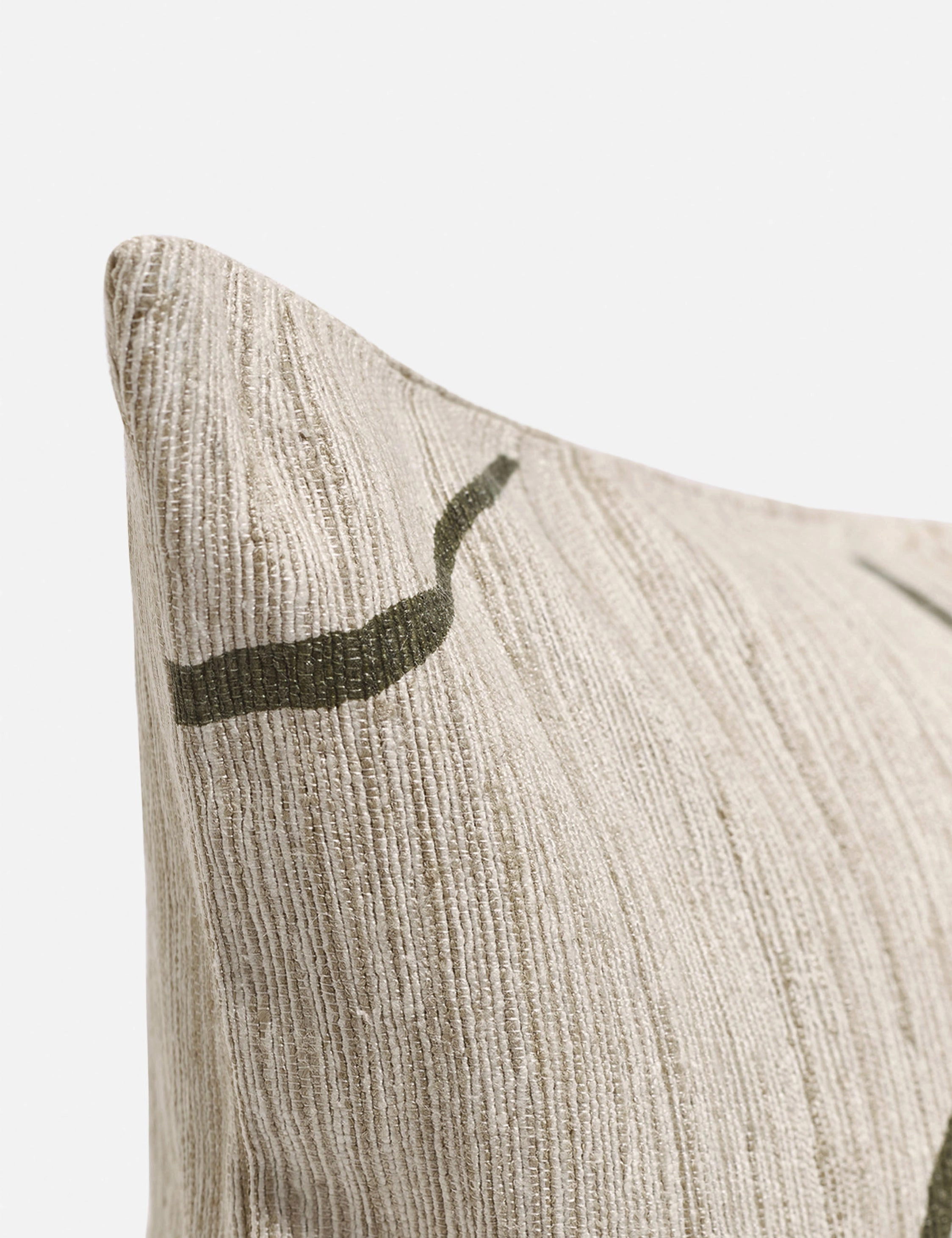 Canyon Pillow by lan Byrd