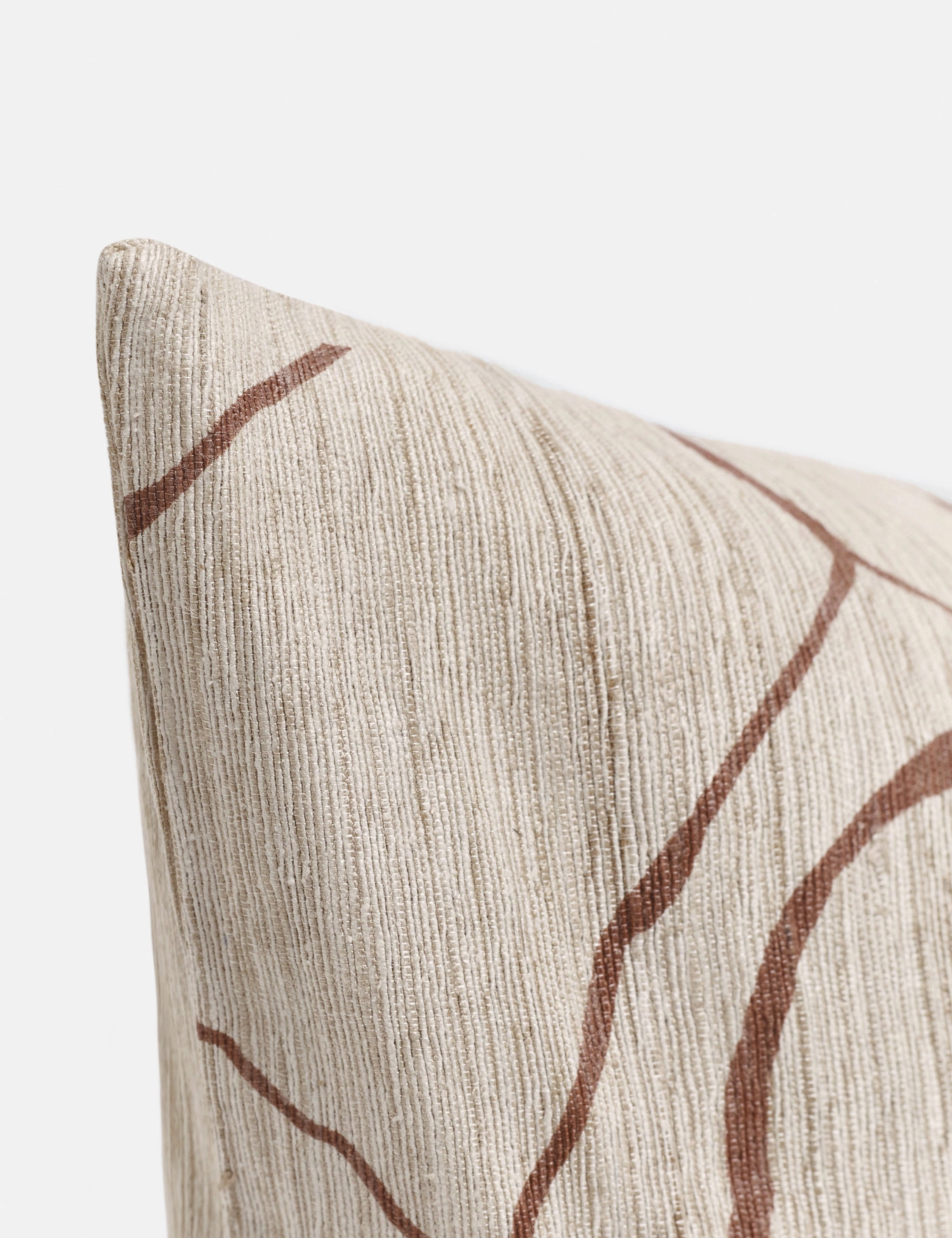 Canyon Pillow by lan Byrd