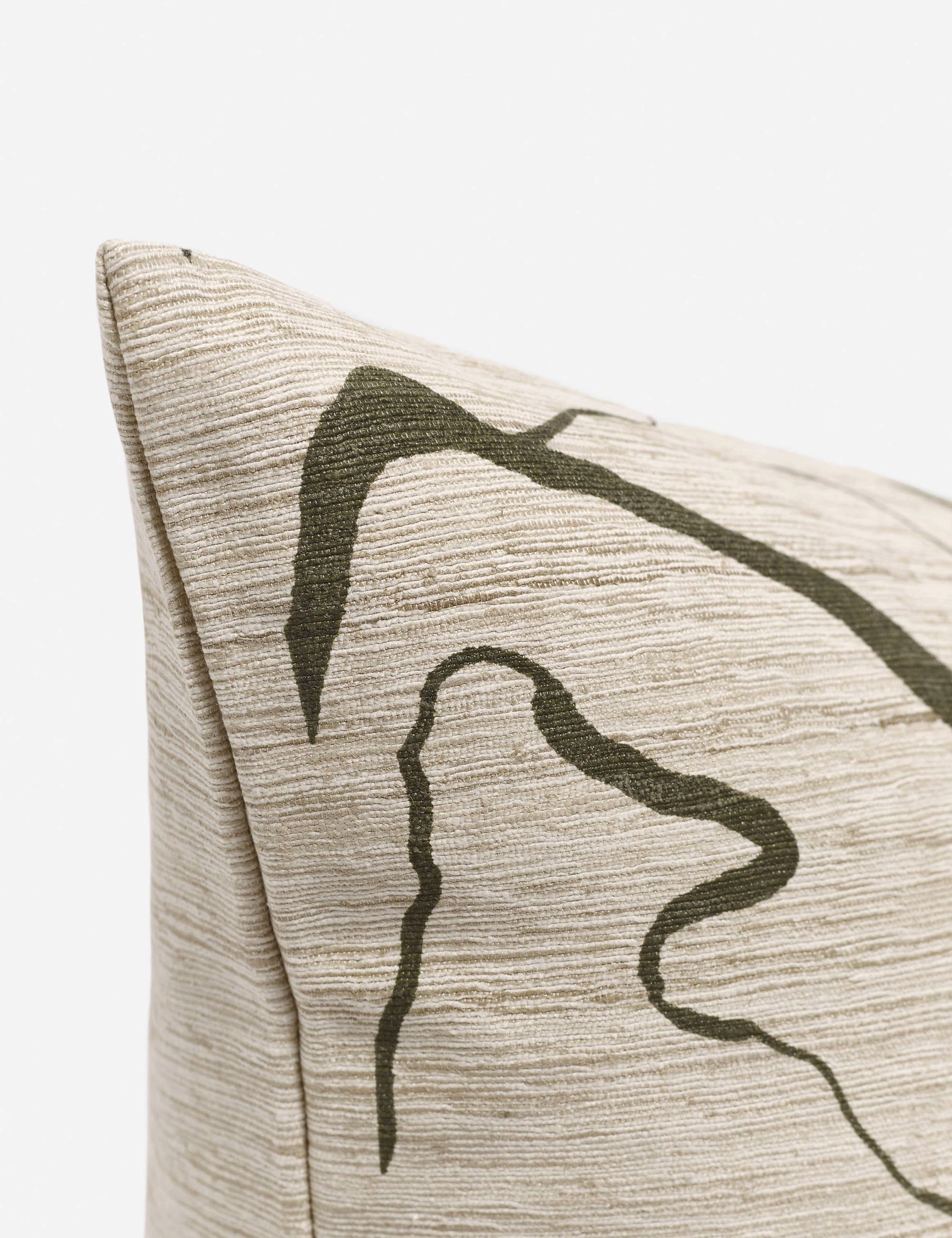 Canyon Pillow by lan Byrd