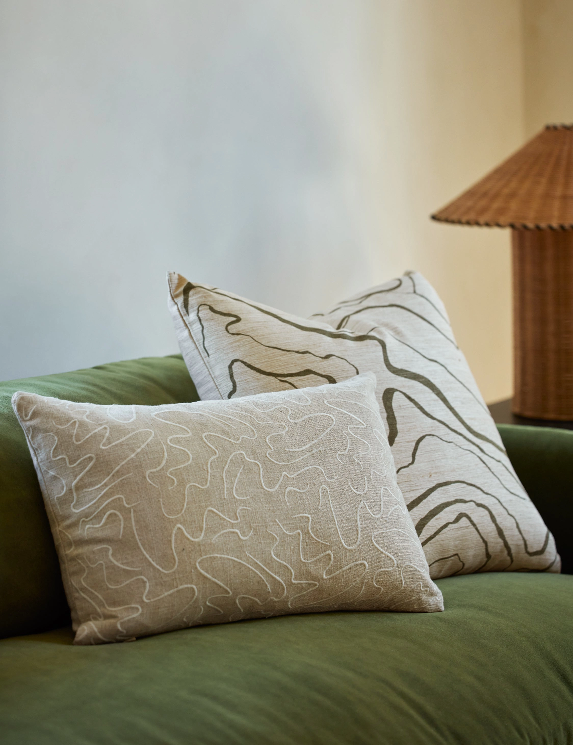 Canyon Pillow by lan Byrd