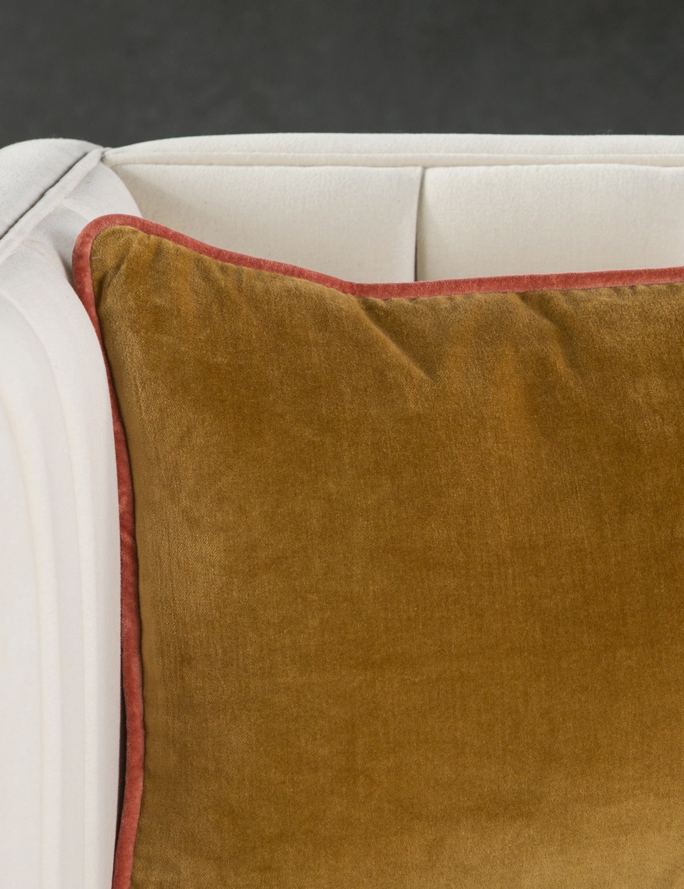Clune Lumbar Pillow