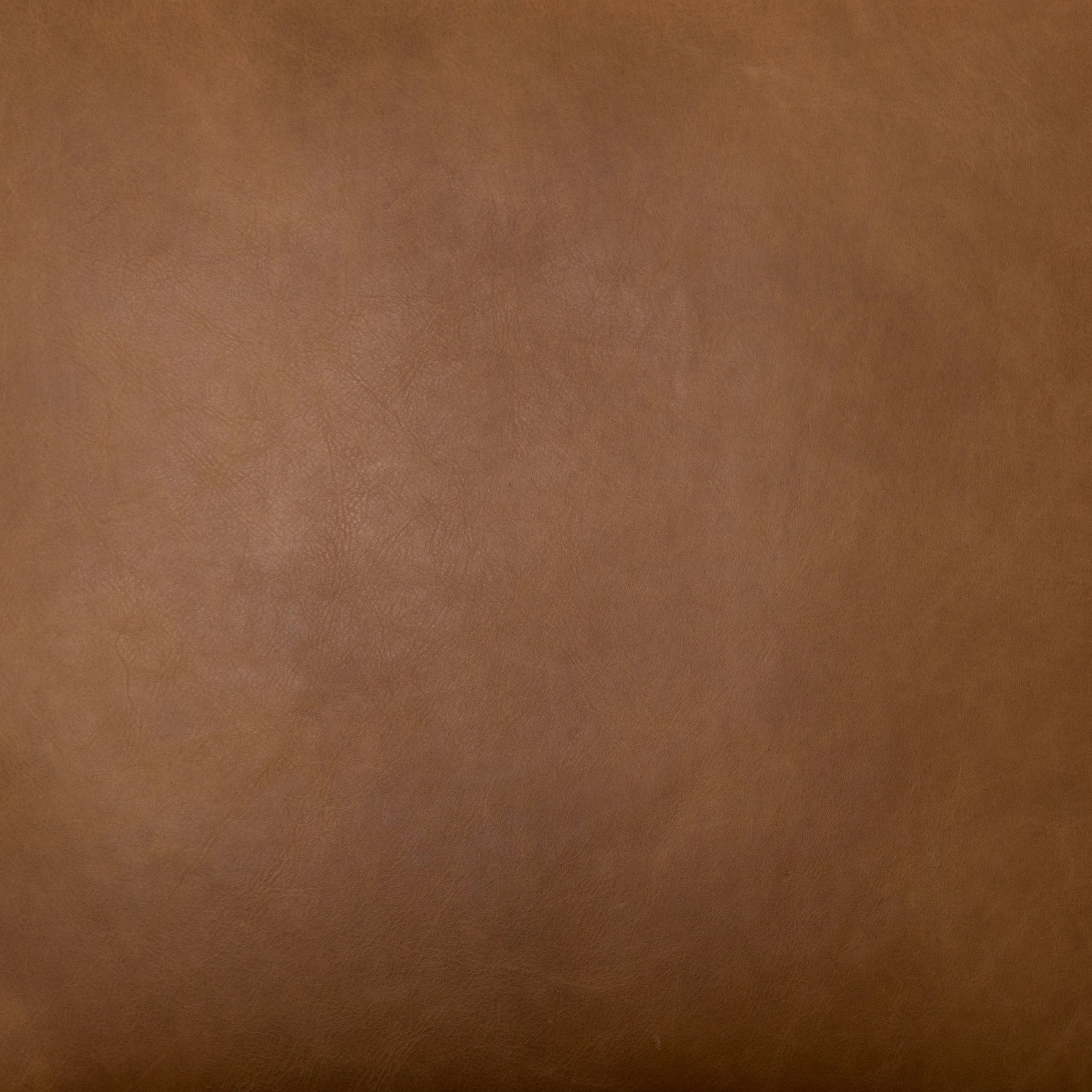 Kenneth Leather Chair