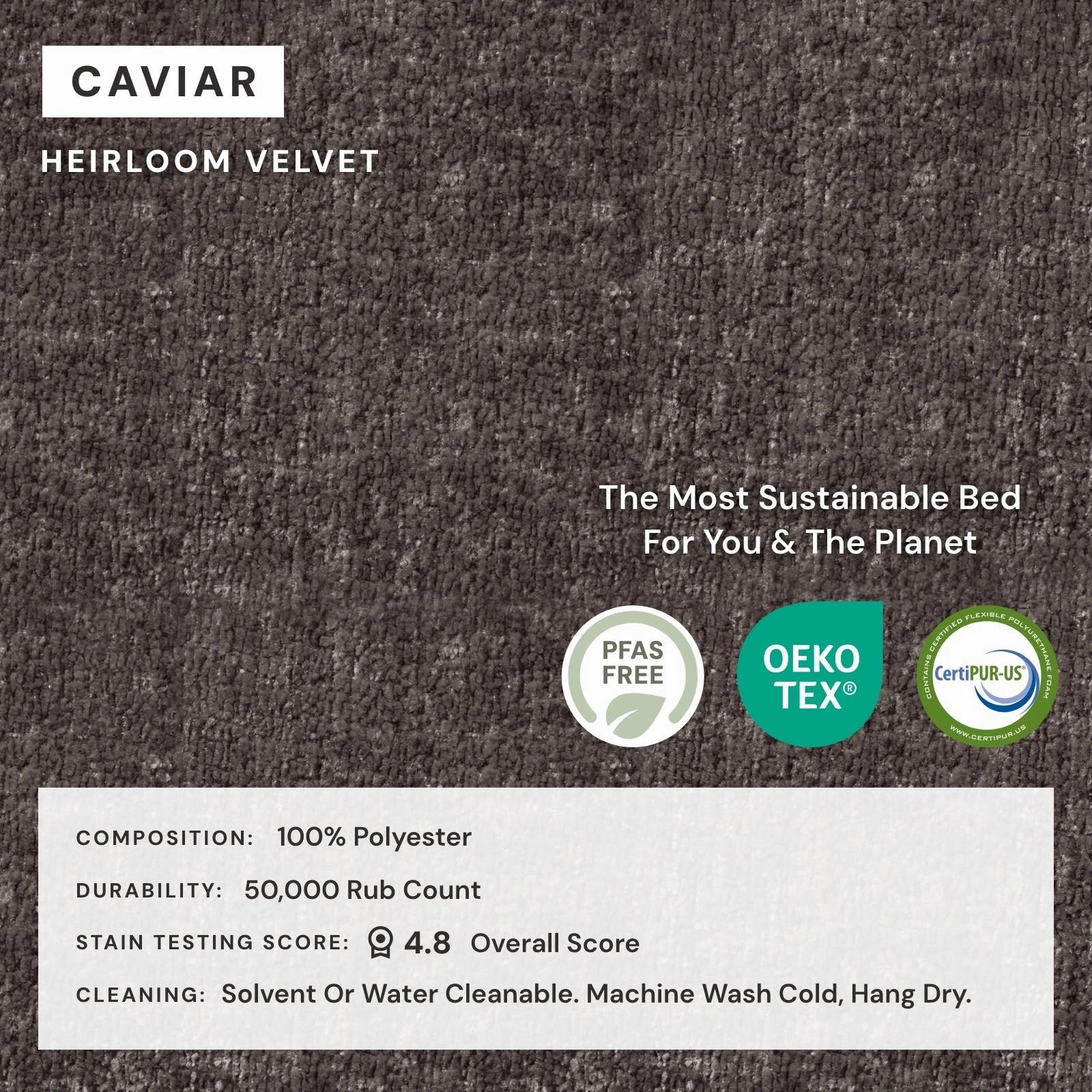 Slipcover Only - Queen Upholstered Platform Bed | Heirloom Velvet in Caviar